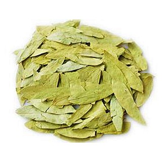 番瀉葉(統(tǒng))