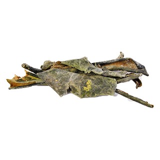 冬瓜皮(統(tǒng)片)