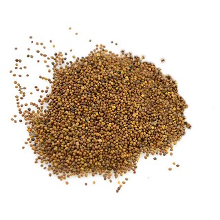 菟絲子(統(tǒng))