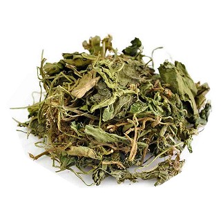 紫花地丁(統(tǒng)段)