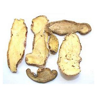 制天南星(新荷花)