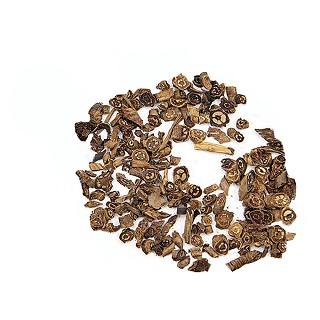 胡黃連(統(tǒng)片)