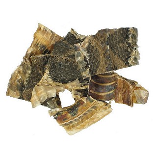 蘄蛇(統(tǒng)段)