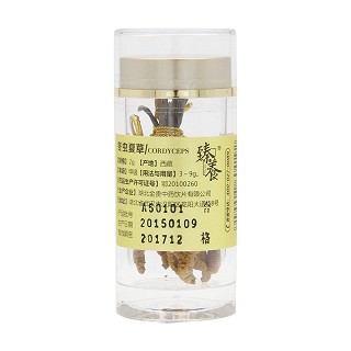 冬蟲夏草(金貴)