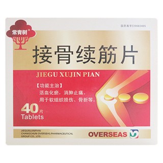 接骨續(xù)筋片(常青樹)