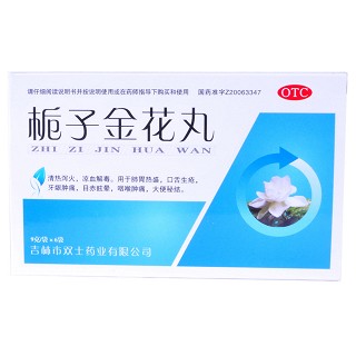 梔子金花丸 梔子金花丸