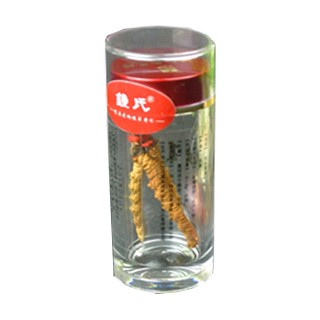 鐘氏西藏那曲冬蟲夏草(鐘氏蟲草健康)