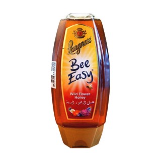 瑯尼斯 天然多花種蜂蜜(langnese)