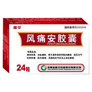 風(fēng)痛安膠囊(健今)