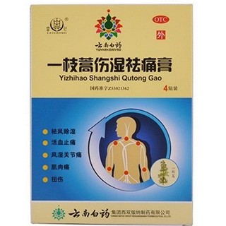 一枝蒿傷濕祛痛膏(白藥西雙版納制)