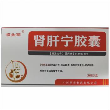腎肝寧膠囊(領(lǐng)頭陽)