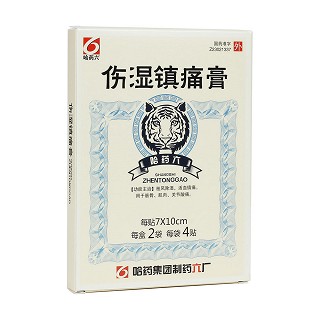 傷濕鎮(zhèn)痛膏(哈藥六) 傷濕鎮(zhèn)痛膏(哈藥六)