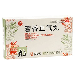 藿香正氣丸 藿香正氣丸