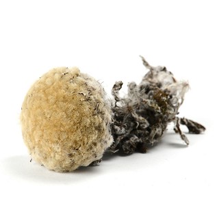 晶珠牌 臧雪蓮25g 功效作用廠家 晶珠牌 臧雪蓮25g 功效作用廠家