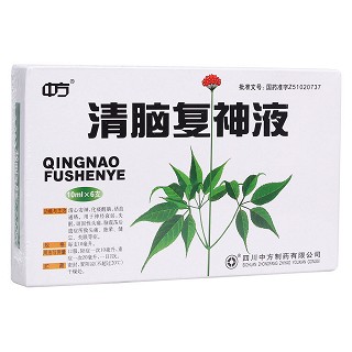 清腦復(fù)神液(中方)
