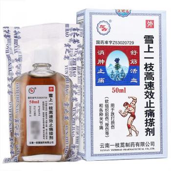 雪上一枝蒿速效止痛搽劑(東春)