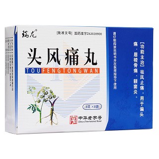 頭風(fēng)痛丸(佛仁)