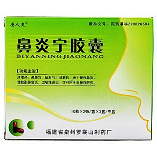 鼻炎寧膠囊(大)