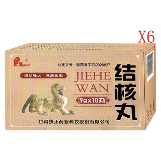結核丸(扶正)