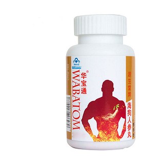 華寶通 海狗人參丸(正康)