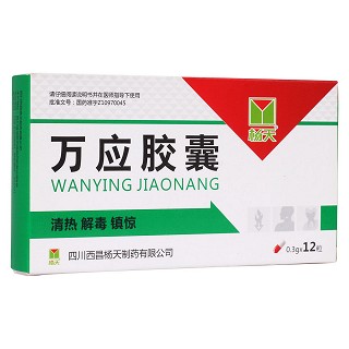 萬應(yīng)膠囊(楊天)