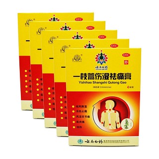 一枝蒿傷濕祛痛膏