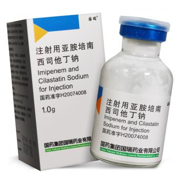注射用亞胺培南西司他丁鈉(國瑞)