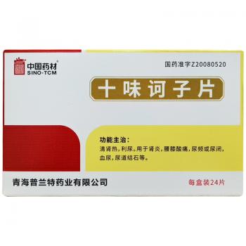 十味訶子片(同濟堂)