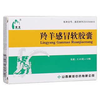 羚羊感冒軟膠囊(黃河)