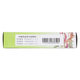 牛黃上清丸(4g*10袋) 牛黃上清丸(4g*10袋)
