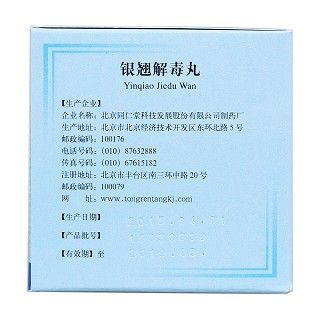 銀翹解毒丸(6g*10袋) 銀翹解毒丸(6g*10袋)
