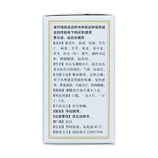 通宣理肺片(0.3g*40s) 通宣理肺片(0.3g*40s)