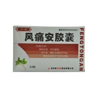 風(fēng)痛安膠囊(康福)