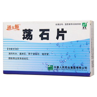 蕩石片(12s*2板) 蕩石片(12s*2板)