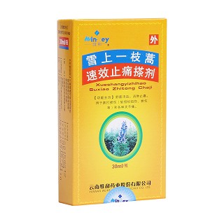 雪上一枝蒿速效止痛搽劑(維和)