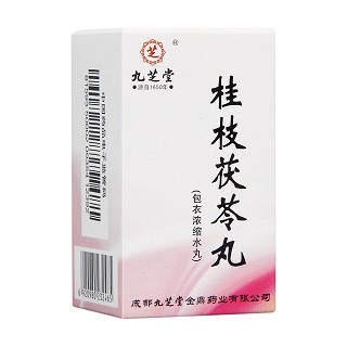 桂枝茯苓丸(九芝堂) 桂枝茯苓丸(九芝堂)
