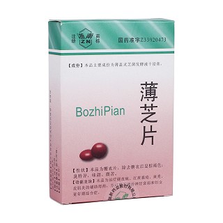 薄芝片