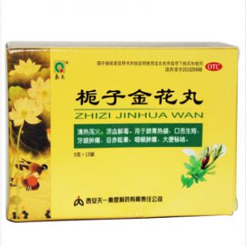 梔子金花丸(秦昆) 梔子金花丸(秦昆)
