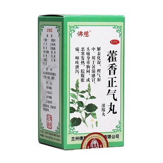 藿香正氣丸 藿香正氣丸