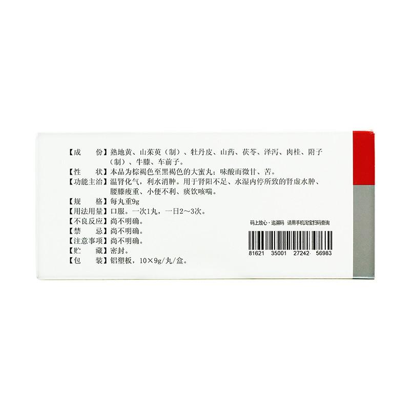 濟生腎氣丸(辰濟) 濟生腎氣丸(辰濟)