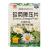 珍菊降壓片 珍菊降壓片