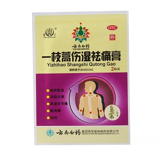 一枝蒿傷濕祛痛膏