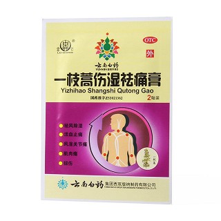 一枝蒿傷濕祛痛膏