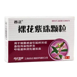 裸花紫珠顆粒(普正)