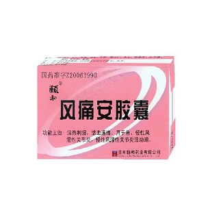 風(fēng)痛安膠囊(頤和)