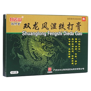 雙龍風(fēng)濕跌打膏(敬修堂)