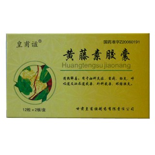黃藤素膠囊(皇甫謐) 黃藤素膠囊(皇甫謐)