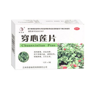 穿心蓮片(偉慈)
