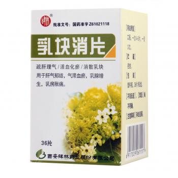 乳塊消片(碑林) 乳塊消片(碑林)