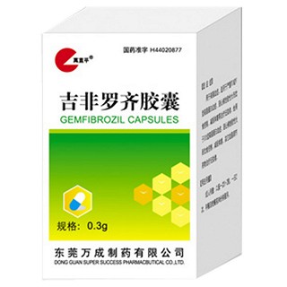 吉非羅齊膠囊(萬成)